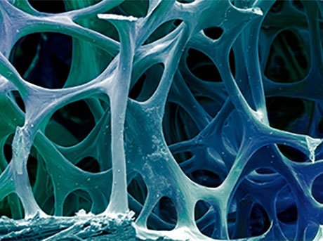 a close up of a blue and white structure